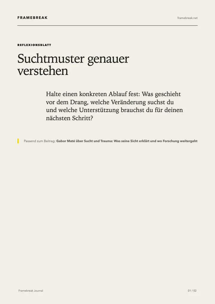 Vorschau des PDFs „Suchtmuster genauer verstehen“
